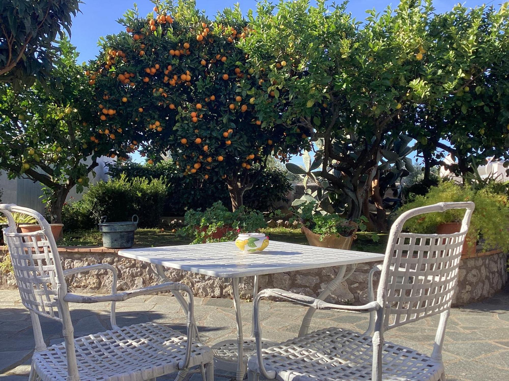 B&B Casetta Minghitto Anacapri  Exterior photo